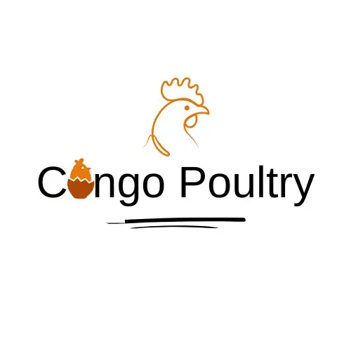 Congo Poultry